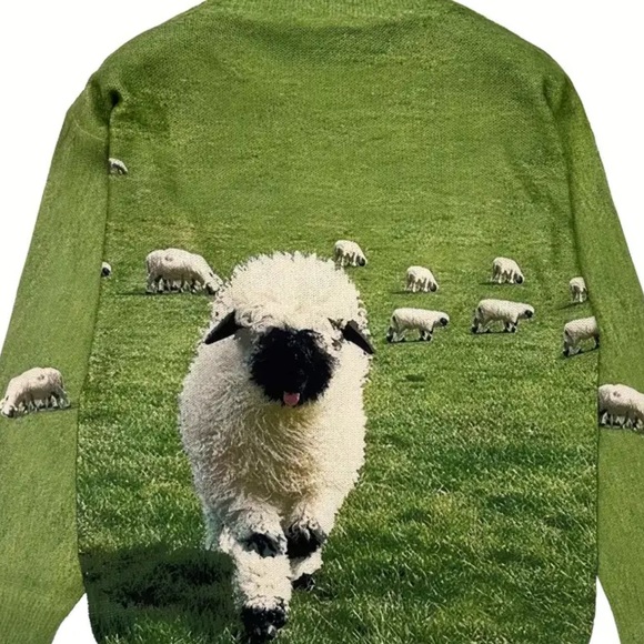 Sheep sweater - Picture 4 of 5